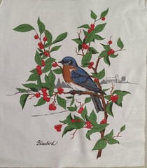 6.75″x8.25″~Vtg ~Cranston~”American Song Birds”~”Bluebird”~ Cotton Fabric Panel
