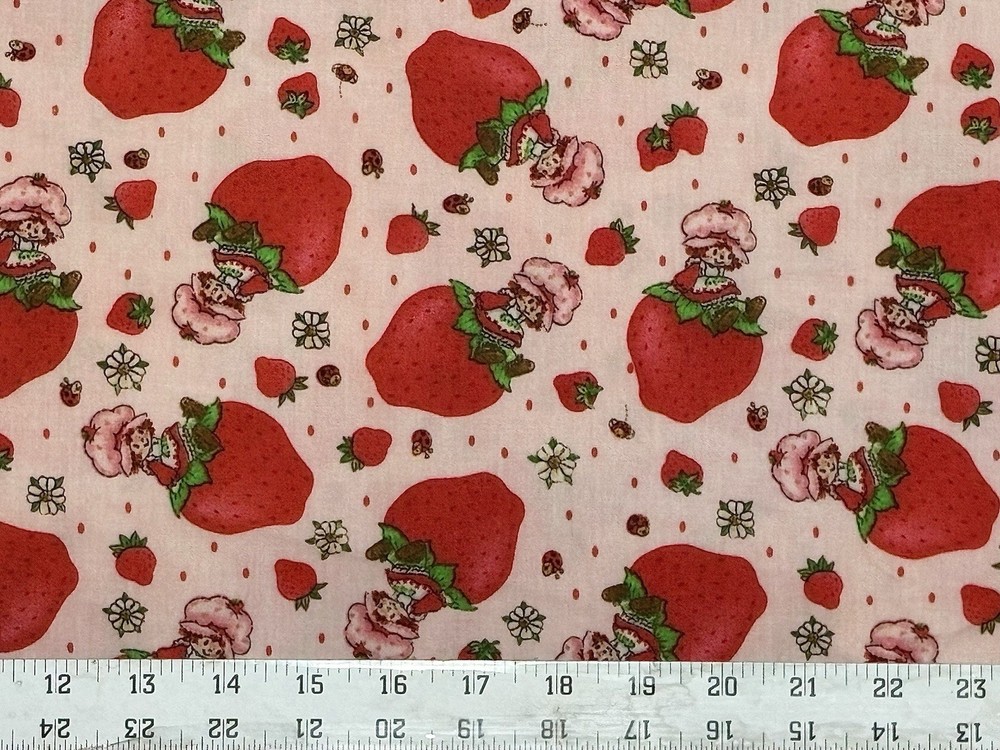 Strawberry Shortcake on Strawberry Fabric – BTHY: 18” x 56”