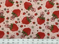Strawberry Shortcake on Strawberry Fabric – BTHY: 18” x 56”