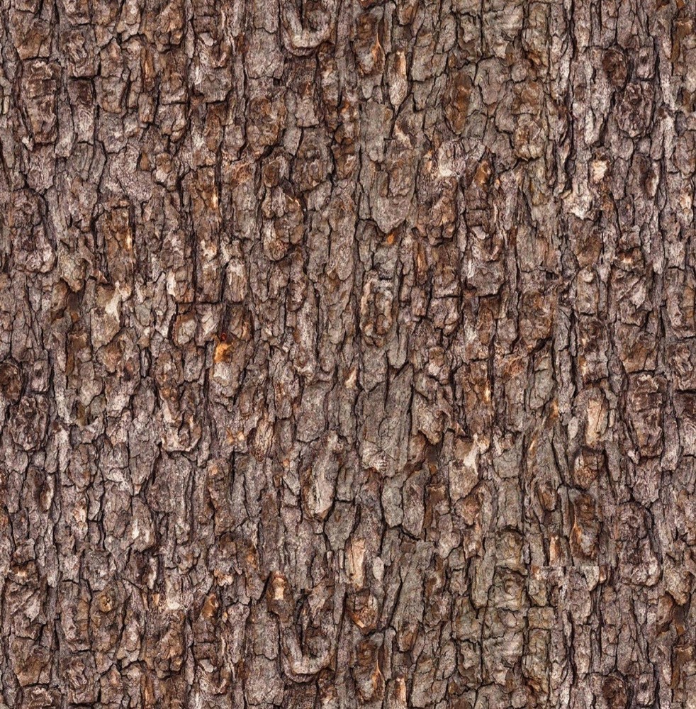 Elizabeth Studio Reddish Brown Tree Bark Cotton Quilt Fabric by the Yard