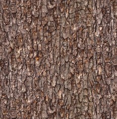 Elizabeth Studio Reddish Brown Tree Bark Cotton Quilt Fabric by the Yard