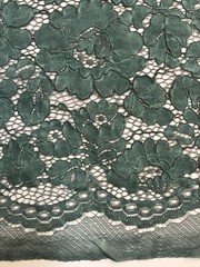 Summer HUNTER GREEN Floral Pattern Double Dyed Flat Lace on Mesh Fabric by the
