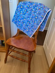 ROBERT KAUFMAN FABRIC~Jennifer Sampon~STILL CRAZY FOR DAISY~Flannel Heart Toss~