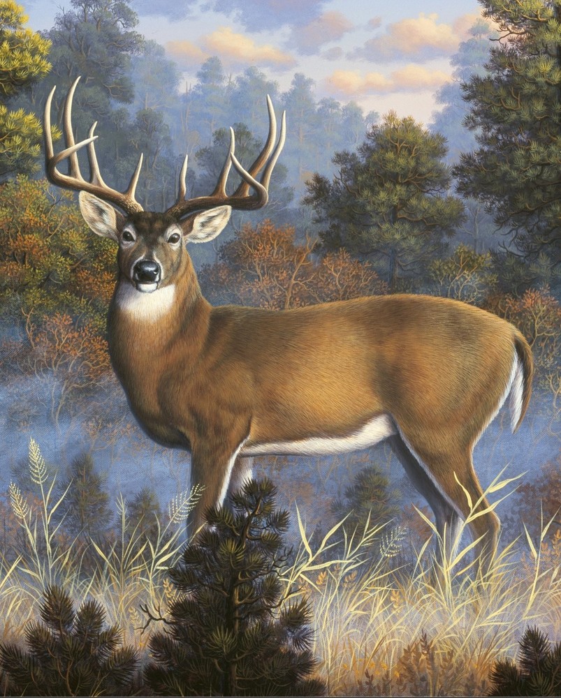 Morning Light ~ Buck, Deer ~ David Textiles Fabric Panel