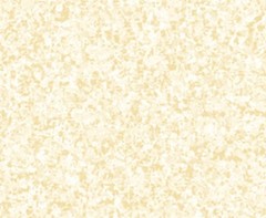 Vanilla/Cream Color Blends Allover Fabric Material