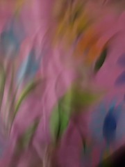 Free Spirit Jane Sassaman For Westminster Fibers “Sweet Lady Jane” 2 Yards X 44″