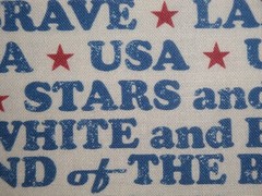 Land Of The Brave Combed Cotton Digitally Printed Patriotic Americana Fabric