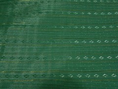 Green Sheer Shiny ~ Gold Fleck Stripe Fabric – 45″ x 2 yd. piece
