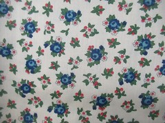 Cranston Print Works Schwartz Liebman Tan W/Blue Red Floral VTG SBTYX 44 NEW