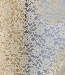 Champagne Sheer Mesh Floral Pattern Raschel Lace 58/60” Polyester Fabric By Yard