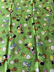 Peanuts Comics Characters Fabric Print: 18 1/4” x 43 1/2”