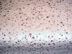 2-3/8 Zinc Giacomettie Embossed Champagne Scale Velvet Drapery Upholstery Fabric