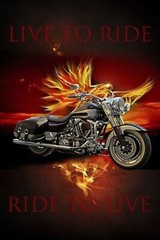 35″ Fabric Panel – David Textiles Digital Live to Ride Motorcycle Flames Scene