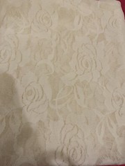 NEW Ivory Off White Stretch Netting Soft Apparel Fabric Lace Floral 2 Yards