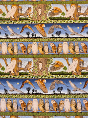 Owl border Makower UK realistic many owl species great colors 32″l x 25″ w +