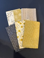 Annie’s Creative Quilters “Prairie Table Runner” Fabric AND Pattern NEW