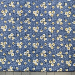 Aunt Grace Judy Rothermel 1030s Repro Cotton Prints Marcus Bros 2 x1 Yard Bundle