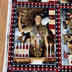 Boy Scouts America Patriotic Stars Stripes Panel Joseph Csatari
