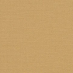 Awning / Marine Fabric – Sunbrella® Toast 60″ 6028-0000