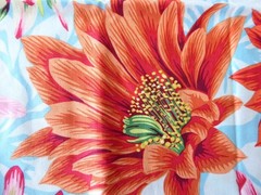 OOP 1/2YD Kaffe Fassett Collective PWPJ096 Cactus Flower Multi Quilt Cotton
