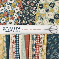 Pinwheel in Dark Teal | Picnic | Cloud9