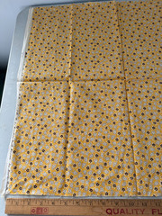 Aunt Grace by Judie Rothermel & Rocky Mountain Quilt Museum Fabric