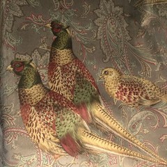 Ralph Lauren Hunting Manor Paisley, Italian Cotton Velvet, BTY, Sable