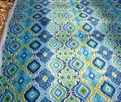 An Original Screen Print Design by Solarium Fabric A Division of Richloom 2 yds