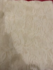 NEW Ivory Off White Stretch Netting Soft Apparel Fabric Lace Floral 2 Yards