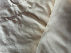 Unbleached Muslin Fabric 5 yards undyed surface with a natural cream color