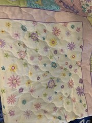 VIP Pastel Baby Theme Pre Quilted Panel Quilt or Wall Hanging Nursery
