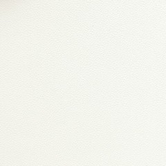 Glastron Boat Foam Back Upholstery Vinyl Antique White 54 Inch – YARD
