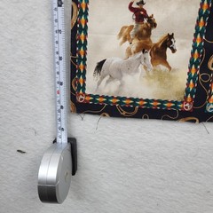 Vintage Wild Horses mustang fabric panel for wall hang or pillow