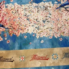 All Missouri Shop Hop 2024 Windham Fabrics Whistler Studios Cotton Fabric 2 yd.