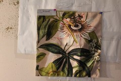 Clarke & Clarke Passiflora on Velvet Floral on Velvet Various Colors and Sizes