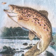 Elizabeth’s Studio Fabric 1 Yd Al Agnew Trout Lodge Cabin Rainbow 44″ Wide