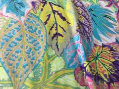 Kaffe Fassett Collective, Coleus By Philip Jacobs