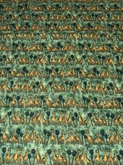 Fabric Piece Green with Giraffe and palm Trees Perfect Quilting or using Scenes
