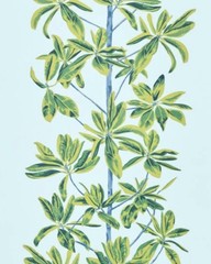 Thibaut Curtain Fabric ‘MANGROVE TREE’ 3.8 METRES TURQOISE Linen Blend