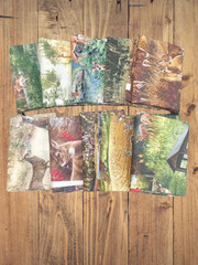 Assorted Deer Fabric – 1 lb Scrap Bundle