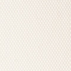 White Outdoor Fabric 100% Solution-Dyed Polyester Pillow Cushion Upholstery