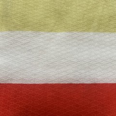 Kate Spade Candy Stripe Fabric Panel Cut Duvet Salvage, 100% Cotton Waffle Weave