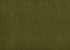 Sunbrella Fabric Pashmina Moss Assure Solution Dyed Acrylic Drapery Upholstery