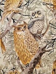 39″ x 42/43″ Wide Owls on Branches Cotton Fabric / Timeless Treasures/New OOP