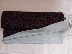 1M X 1.50M Autumn Fruits Red-Brown French Terry Christiane Zielinski Fabric