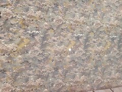 Camo fabric material Aramid ripstop (Kev lar) 420D PU. SUPER TOUGH! Per yard.