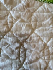 Vintage Olde Kentucky Coverlet Quilt Cotton Fabric Children Dogs 1960s