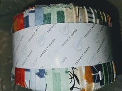 RARE Camelot Jelly Roll (Collection Unknown) 40 Strips 2.5″ Cotton OOP RARE