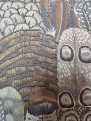 Rowan Philip Jacobs Westminster Fibers PWPJ 055 Feathers Cotton 45″ 2 Yds
