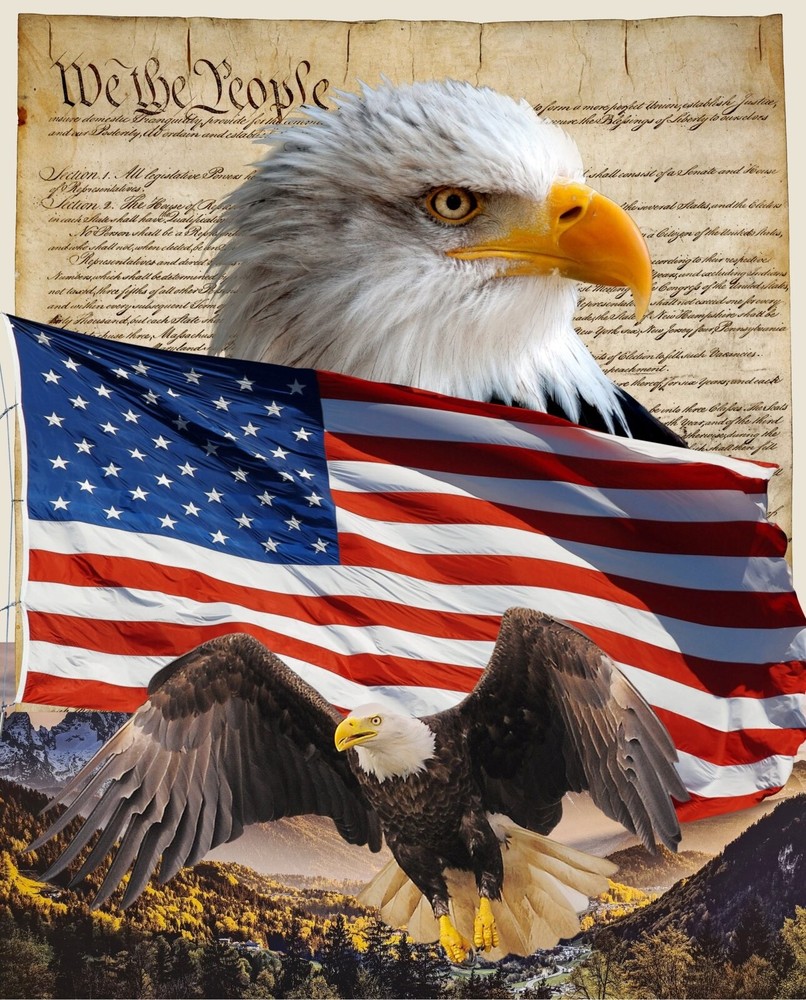 David Textiles DX-4234-3C-1 Eagle and Constitution Panel Cotton 36″ x 45″
